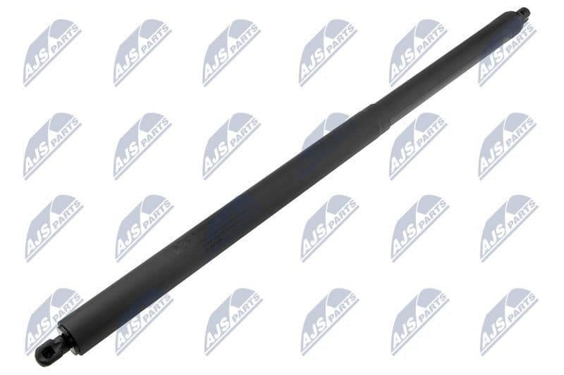 Amortizor portbagaj NTY AE-FR-066