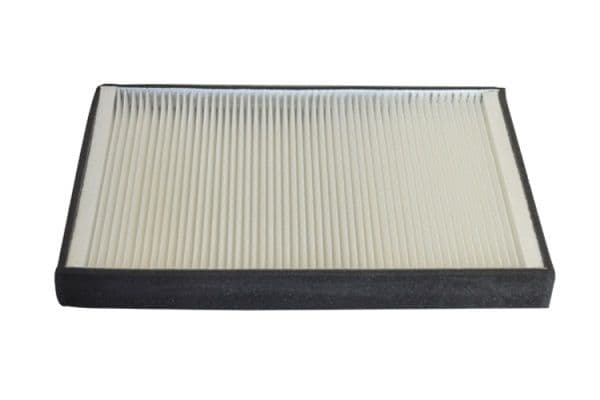 Filtru, aer habitaclu MTR 12135367