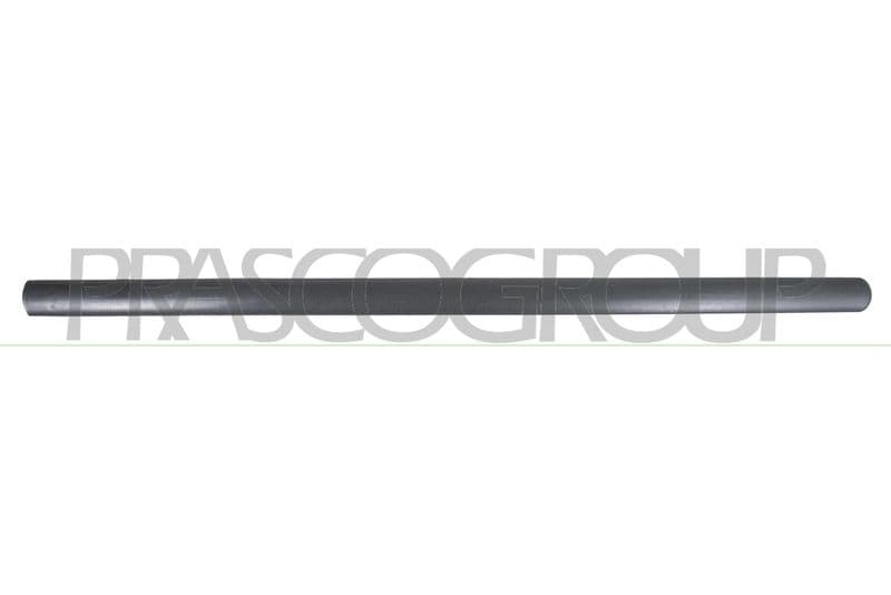 Elemente decorative/protectie, portiera PRASCO VG9041404