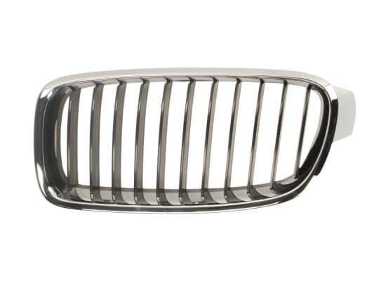 Grila radiator BLIC 6502-07-0063991P