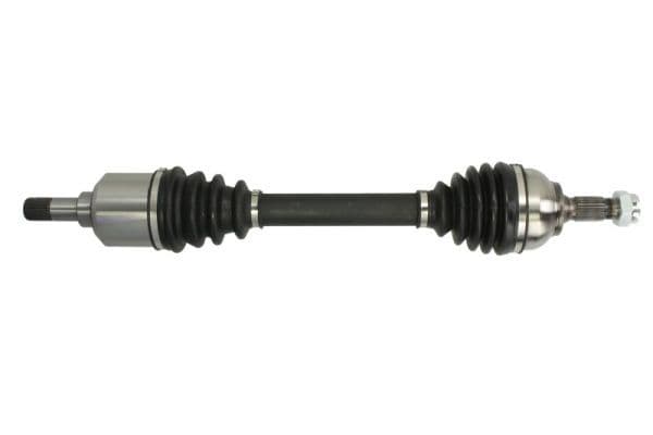Planetara PASCAL G2C146PC