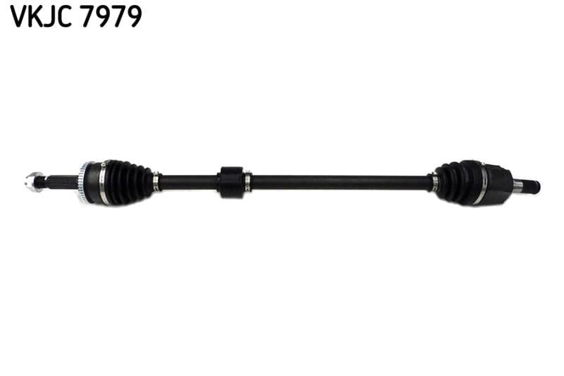 Planetara SKF VKJC 7979