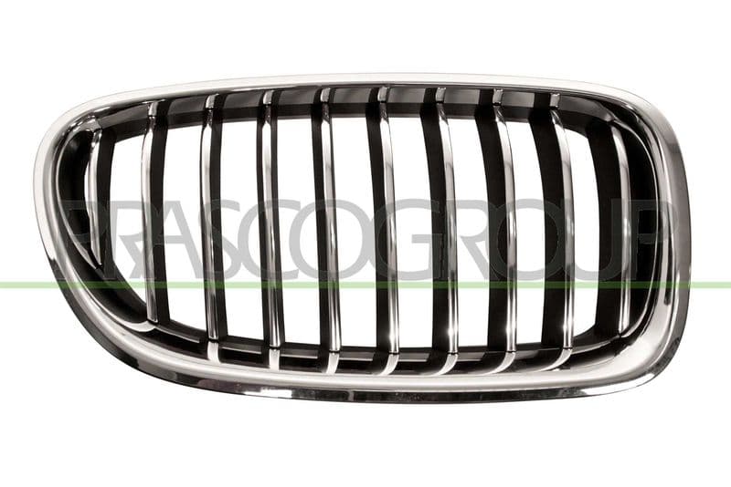 Grila radiator PRASCO BM0502003