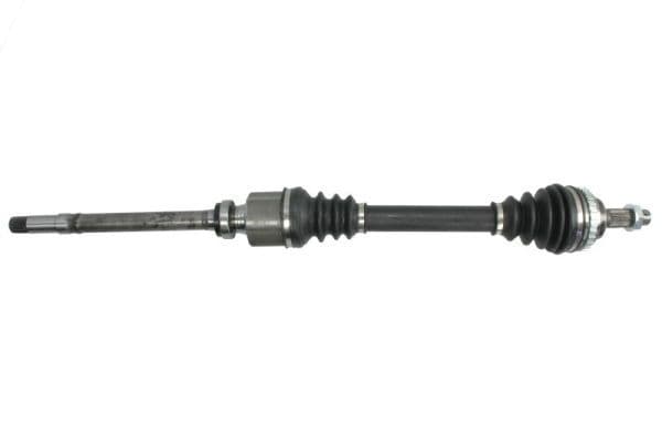 Planetara PASCAL G2P033PC