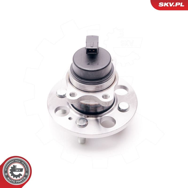 Set rulment roata ESEN SKV 29SKV120