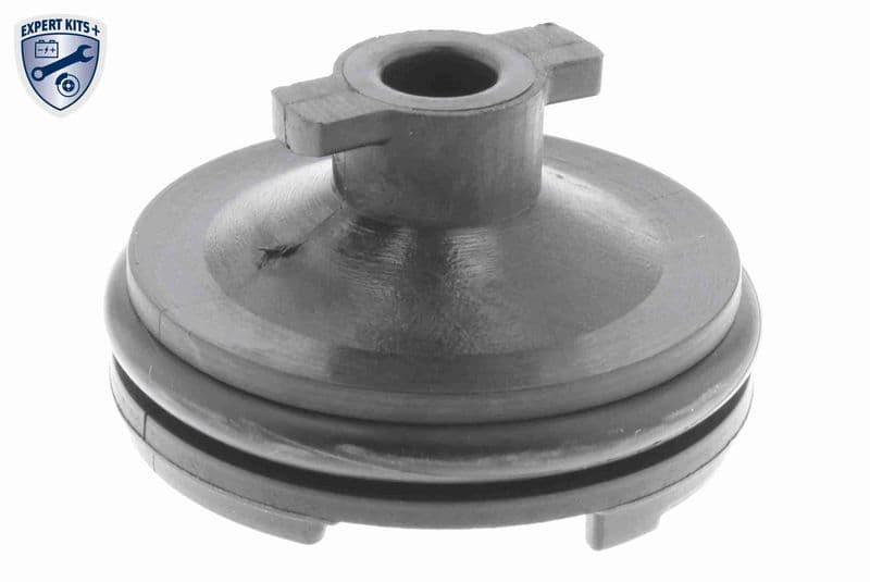 surub de golire,baia de ulei VAICO EXPERT KITS + V25-1116