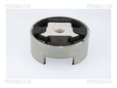 Suport motor TRISCAN 8505 29188
