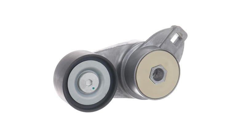 Intinzator curea, curea distributie SKF VKMCV 53002