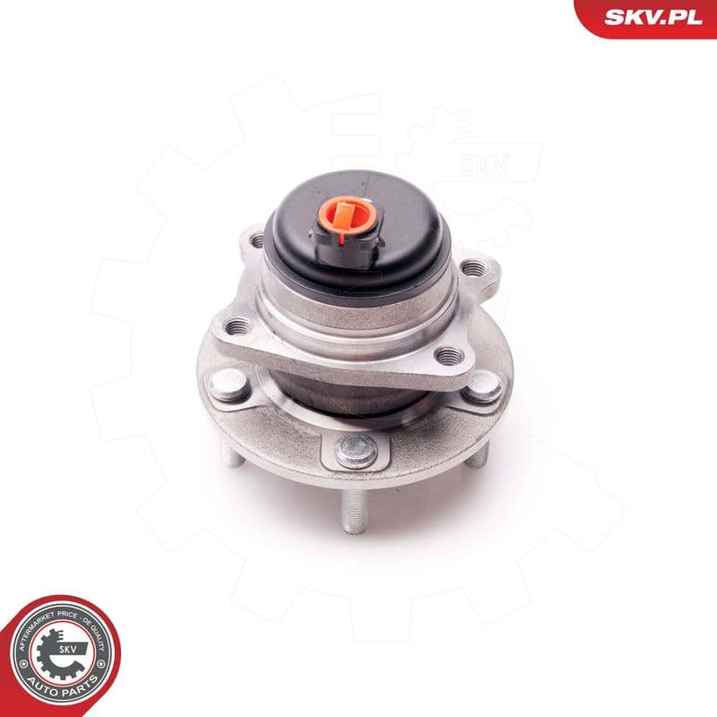 Set rulment roata ESEN SKV 29SKV151
