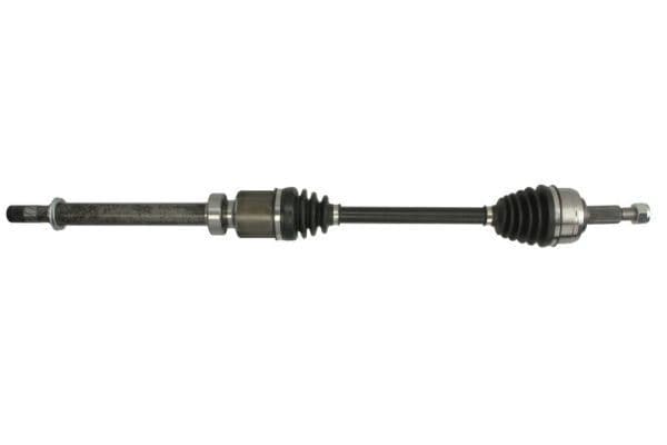 Planetara PASCAL G2R146PC