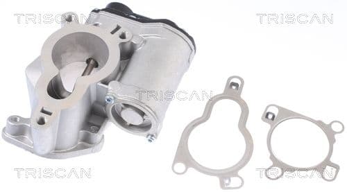 Supapa EGR TRISCAN 8813 14025