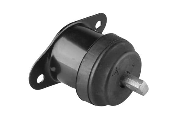 Suport motor TEDGUM 00260934