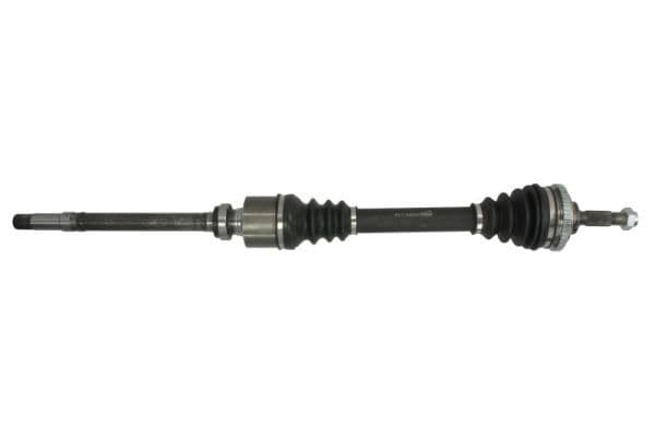 Planetara PASCAL G2P004PC