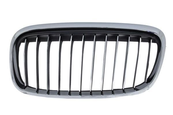Grila radiator BLIC 6502-07-0071997LP