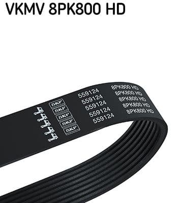 Curea transmisie cu caneluri SKF VKMV 8PK800 HD