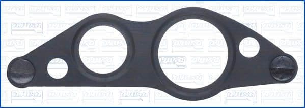 Garnitura, conducta supapa-AGR AJUSA 01211100