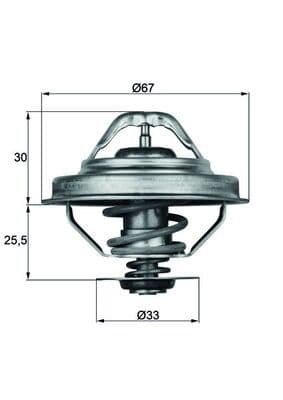 termostat,lichid racire MAHLE BEHR TX 28 92D