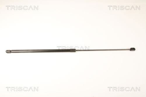 Amortizor capota TRISCAN 8710 24106