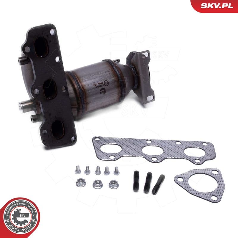 Catalizator ESEN SKV 62SKV026