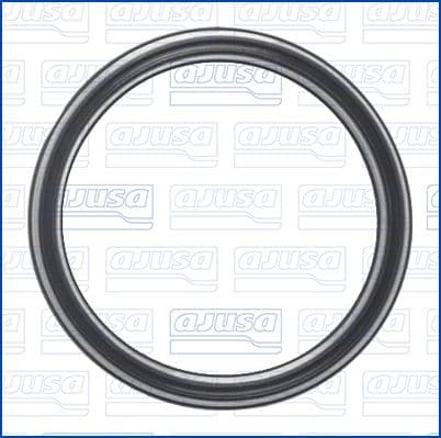 Garnituri, carcasa filtru ulei AJUSA 01711800