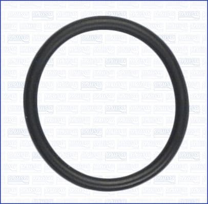 Garnituri, carcasa filtru ulei AJUSA 16114800