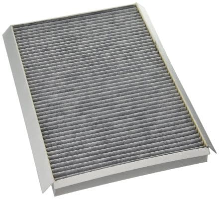 Filtru, aer habitaclu MTR 12138348