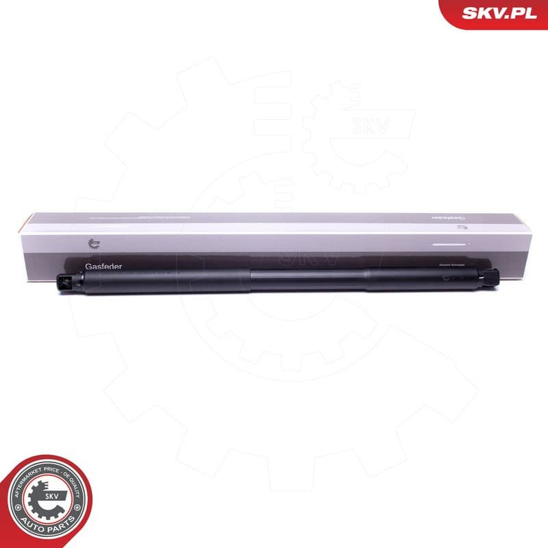 Motor electric, haion ESEN SKV 52SKV947