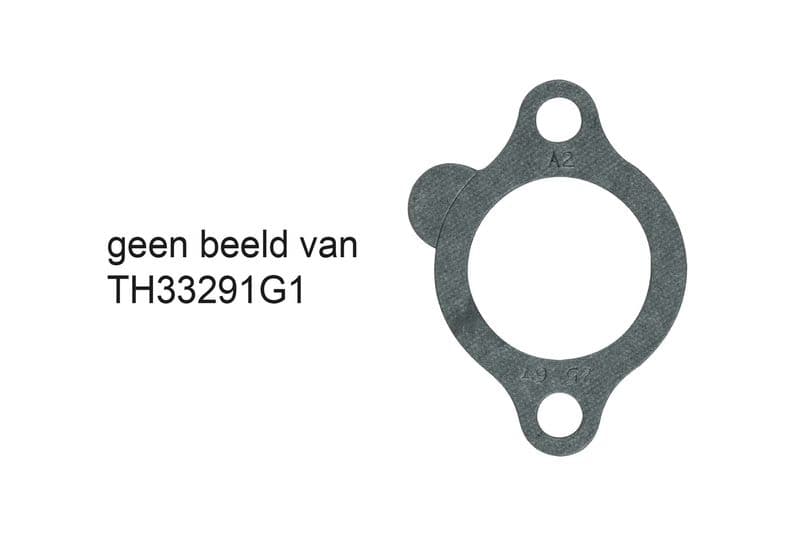 termostat,lichid racire GATES TH33291G1