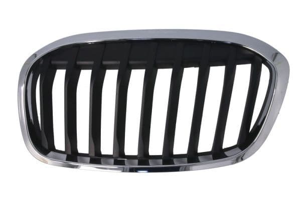 Grila radiator BLIC 6502-07-0071993P