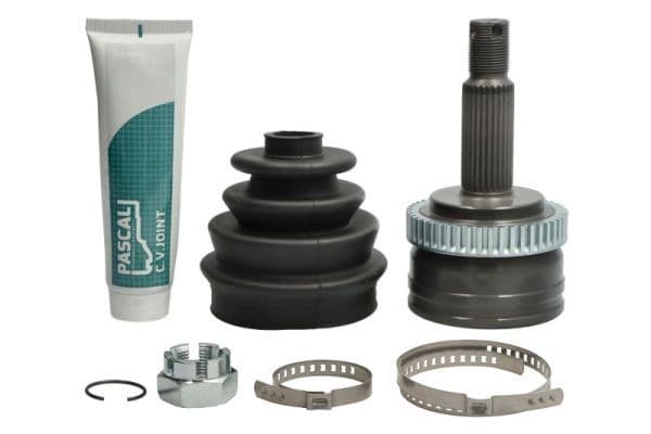 Set articulatie, planetara PASCAL G10376PC