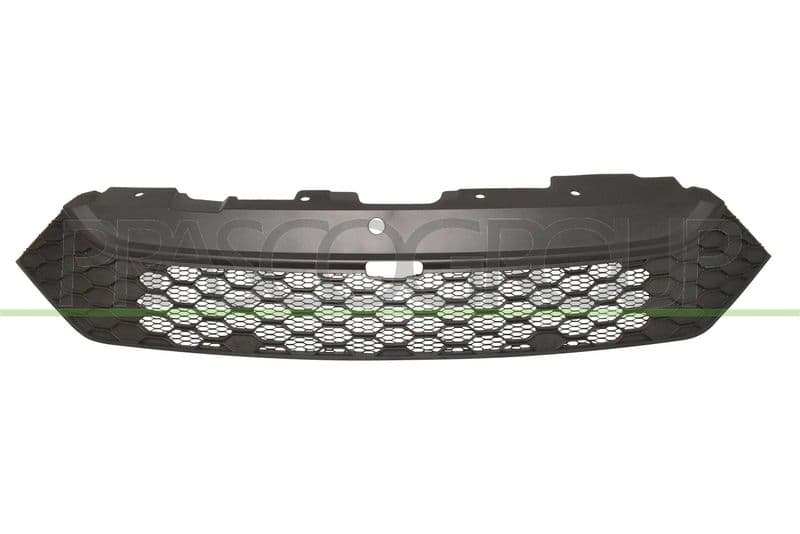 Grila radiator PRASCO FT9502001