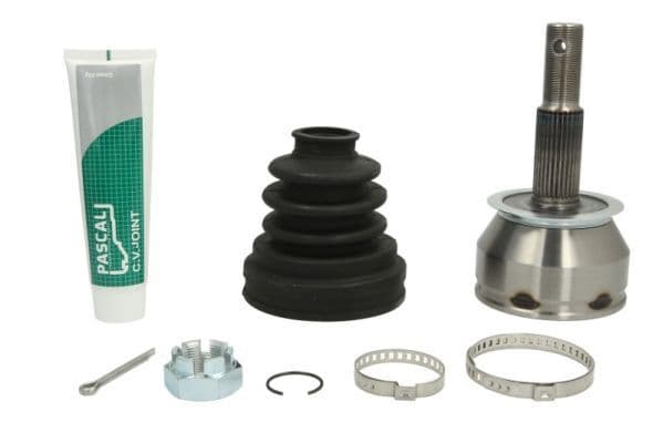 Set articulatie, planetara PASCAL G11079PC