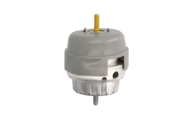 Suport motor REINHOCH RH11-0069