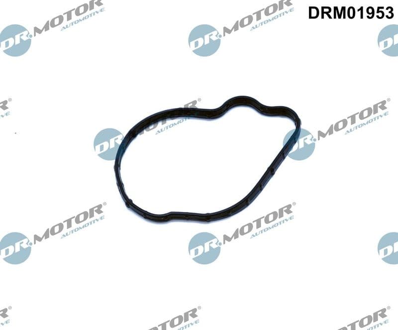 Garnitura, pompa injectie Dr.Motor Automotive DRM01953