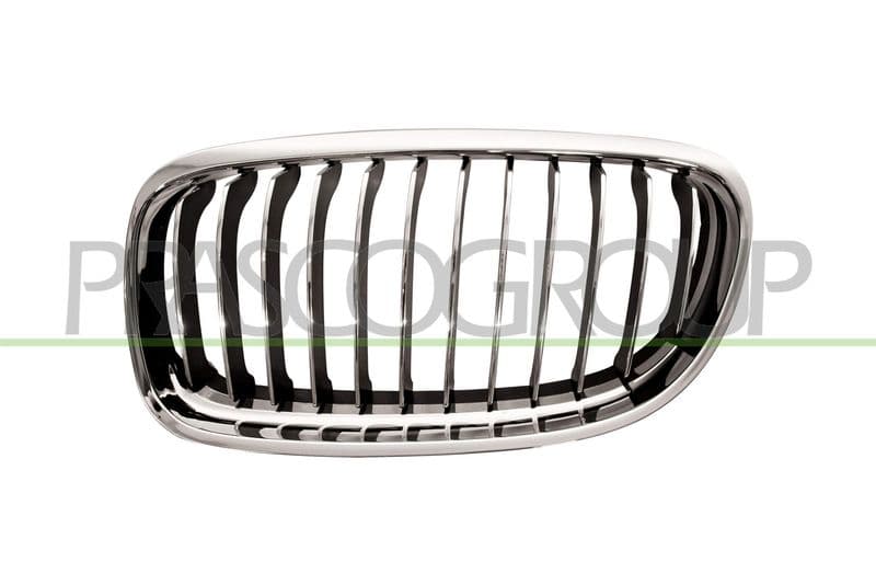 Grila radiator PRASCO PremiumCertified BM0262014