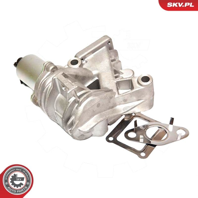 Supapa EGR ESEN SKV 14SKV036