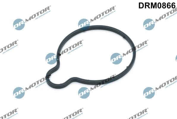Garnitura, pompa vacuum Dr.Motor Automotive DRM0866