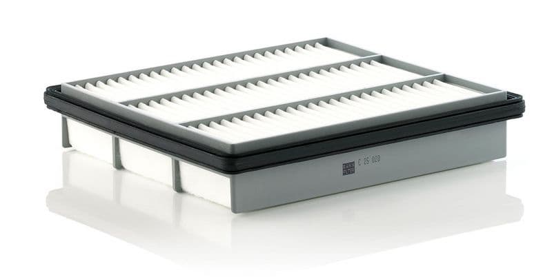 Filtru aer MANN-FILTER C 25 020