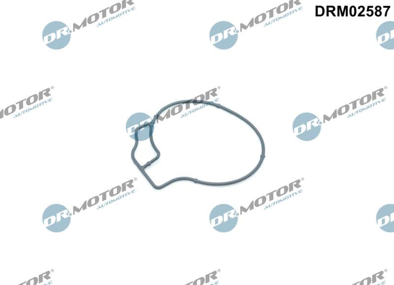 Garnitura, pompa vacuum Dr.Motor Automotive DRM02587
