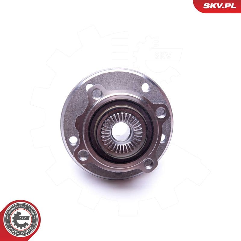 Set rulment roata ESEN SKV 29SKV286