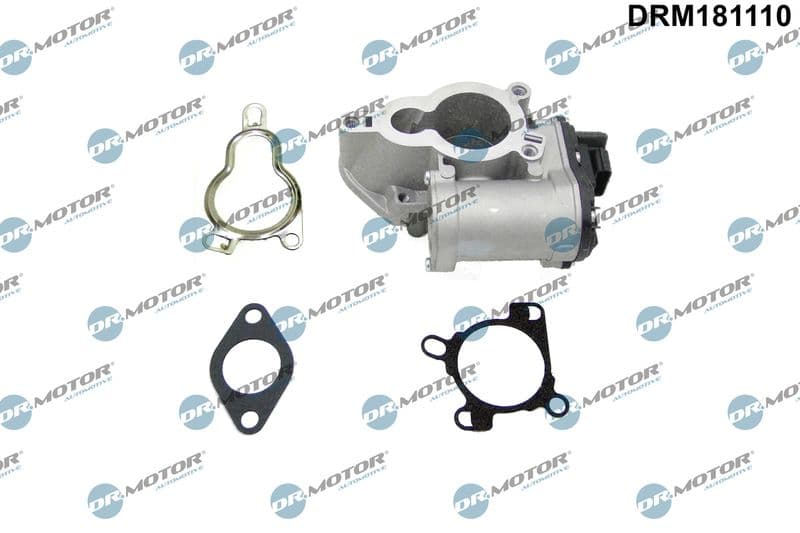 Supapa EGR DRM DRM181110