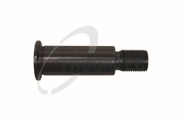 pivot lagar,rola de tensionare TRUCKTEC AUTOMOTIVE 02.19.120