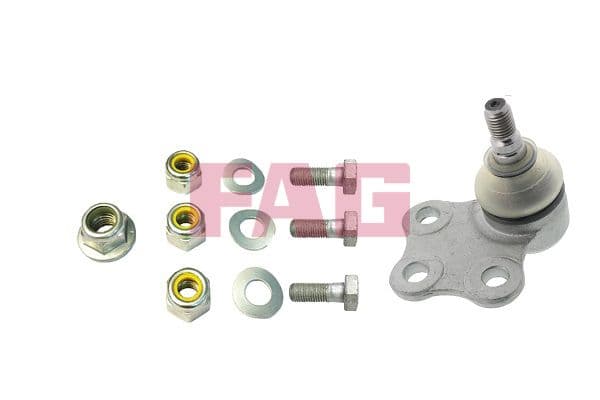 Pivot FAG 825 0117 10