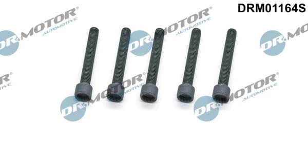 Surub, suport injector Dr.Motor Automotive DRM01164S