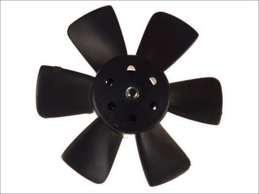 Ventilator, radiator THERMOTEC D8W013TT