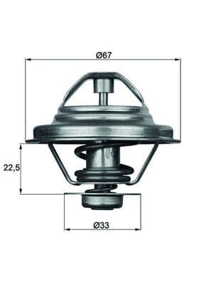 termostat,lichid racire MAHLE BEHR TX 24 80D
