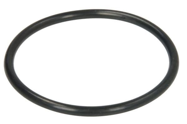Garnitura termostat ENGITECH ENT011070