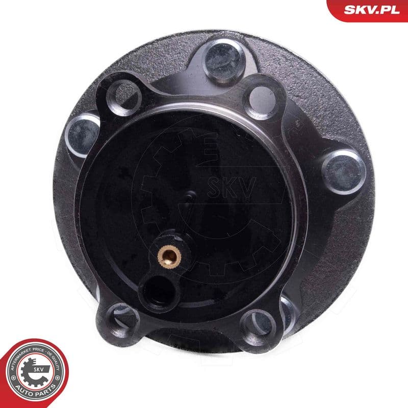 Set rulment roata ESEN SKV 29SKV615