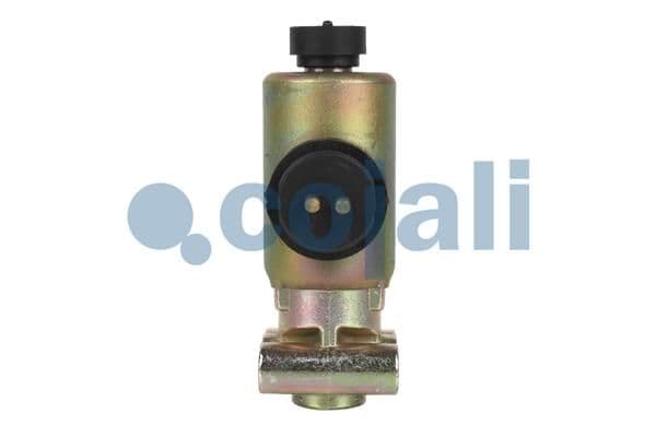 Supapa magnetica COJALI 2218205