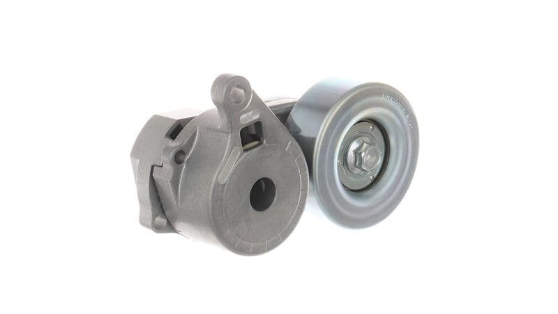 Intinzator curea, curea distributie SKF VKM 65048